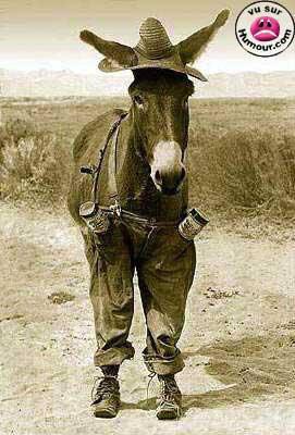 bda  yskar  hatta  wala  hamar